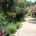 Image_jardin_09